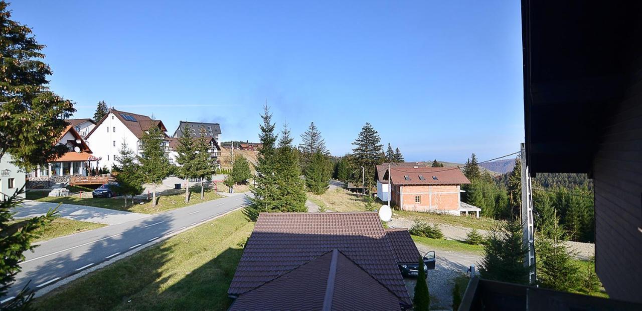 Pensiune & Restaurant Victoria Păltiniş Kültér fotó
