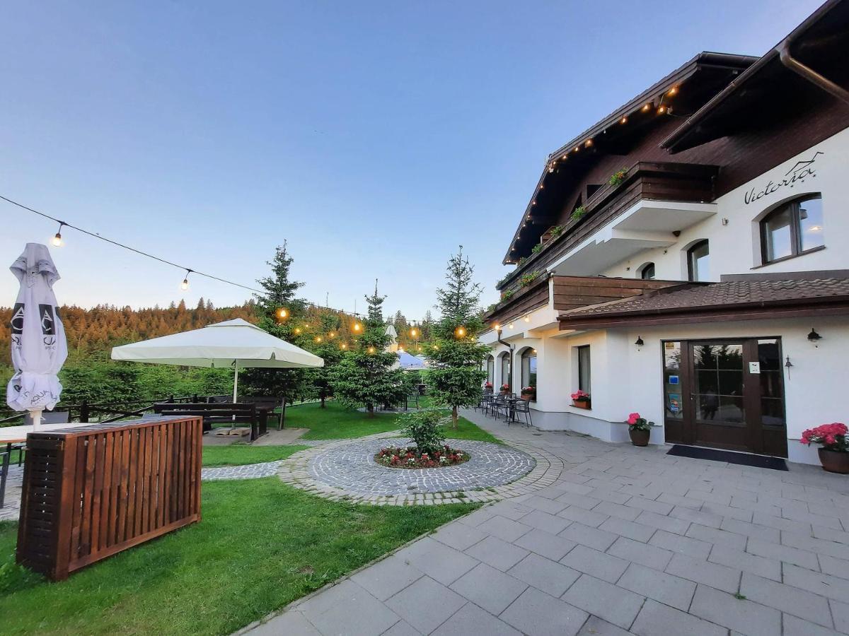Pensiune & Restaurant Victoria Păltiniş Kültér fotó