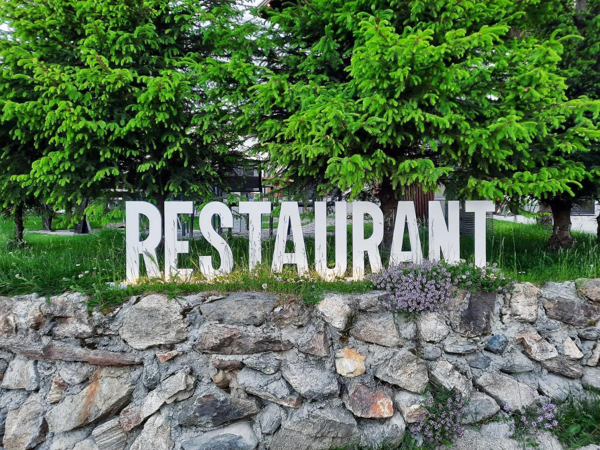 Pensiune & Restaurant Victoria Păltiniş Kültér fotó